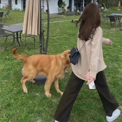 住在你的灵魂里